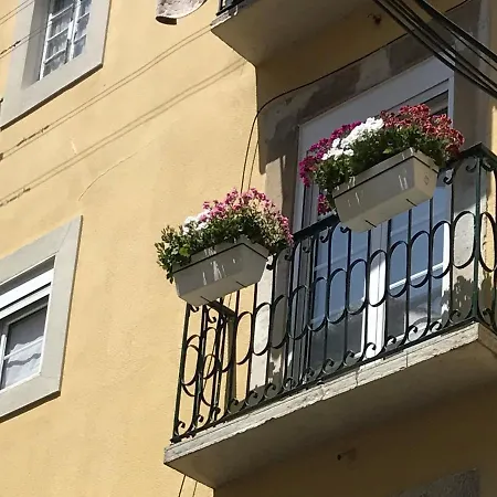아파트 Casa Do Cardal Da Fe 리스본